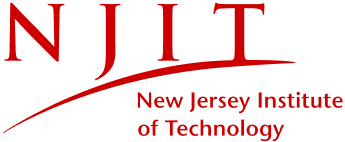New_Jersey_IT_logo 1